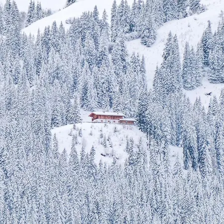 Bergresort Zugspitze By Alps 埃尔瓦尔德